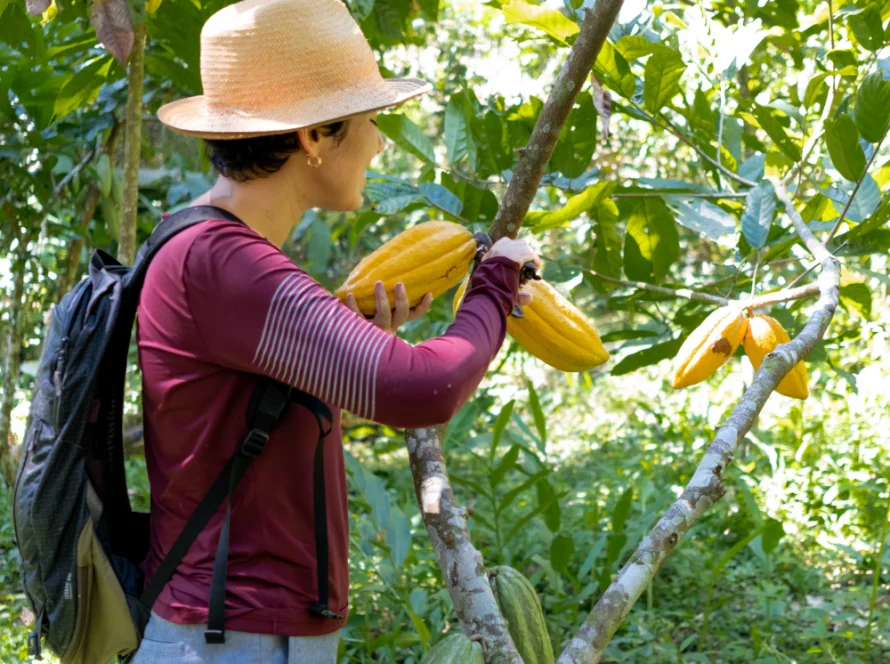DSCF4280 6 | Bean to Bite