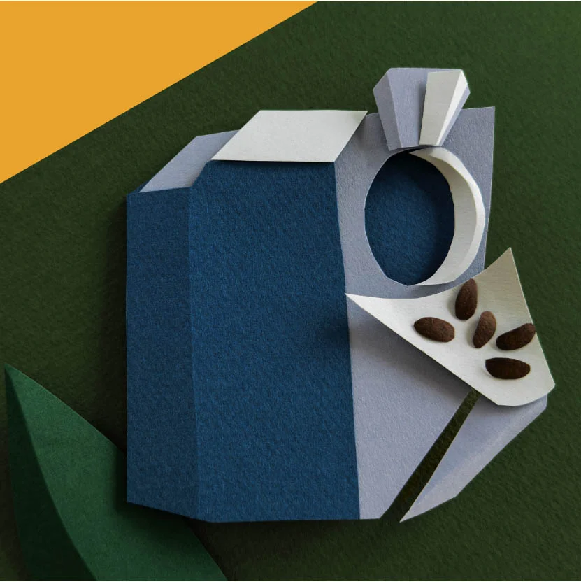 Screenshot | Bean to Bite