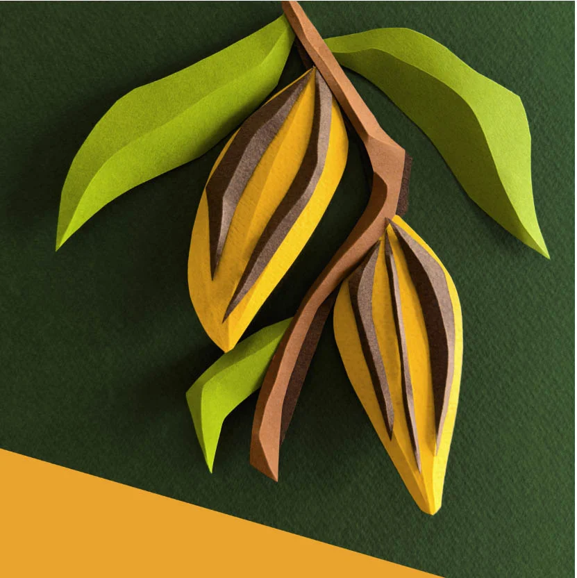 Screenshot | Bean to Bite