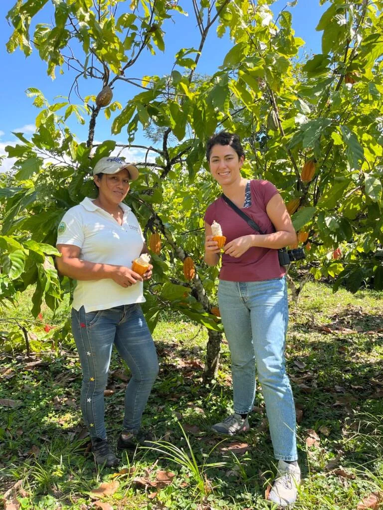 WhatsApp Image 2025 06 16 at 16.54.44 | Bean to Bite